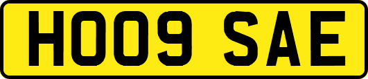 HO09SAE