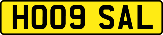 HO09SAL