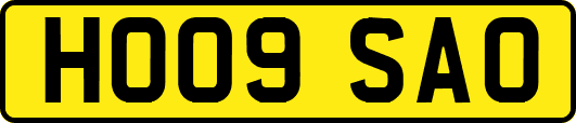 HO09SAO