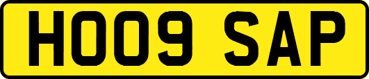 HO09SAP