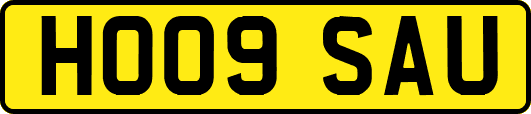 HO09SAU