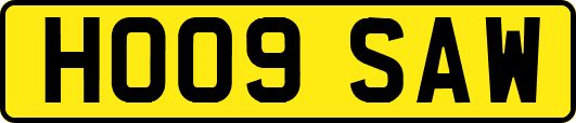 HO09SAW