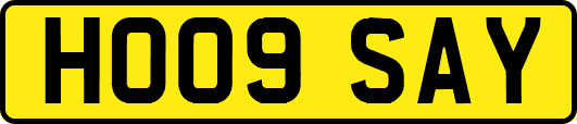 HO09SAY