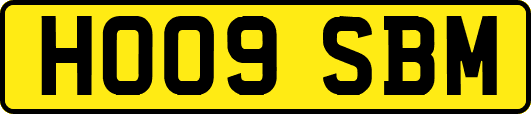 HO09SBM