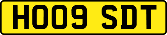 HO09SDT