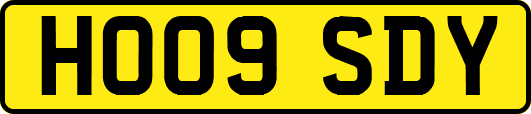 HO09SDY