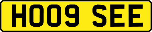 HO09SEE