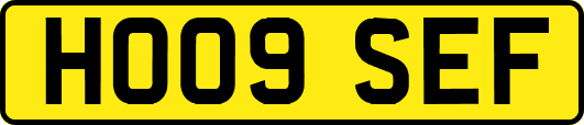 HO09SEF