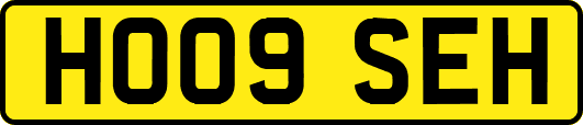 HO09SEH
