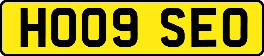HO09SEO