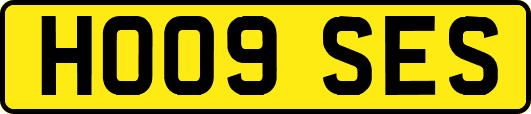 HO09SES