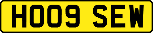 HO09SEW