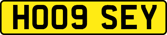 HO09SEY