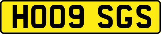 HO09SGS