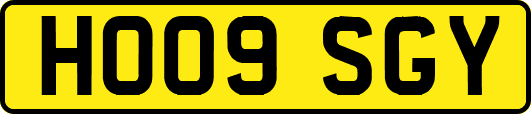 HO09SGY