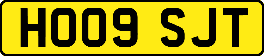 HO09SJT