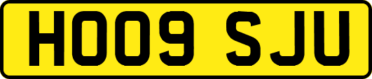 HO09SJU