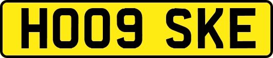 HO09SKE