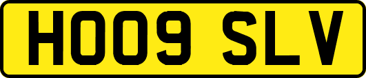 HO09SLV