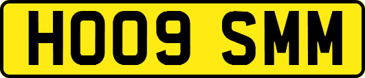 HO09SMM