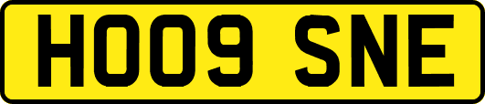 HO09SNE