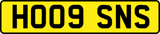 HO09SNS