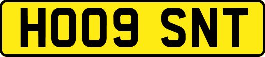 HO09SNT