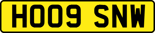 HO09SNW