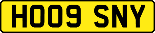 HO09SNY