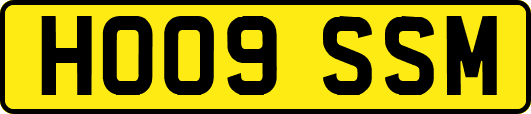 HO09SSM