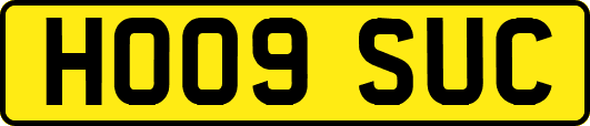 HO09SUC