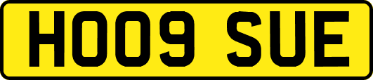 HO09SUE