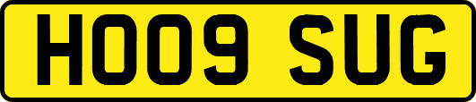 HO09SUG
