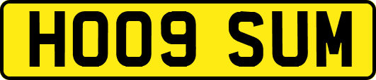 HO09SUM