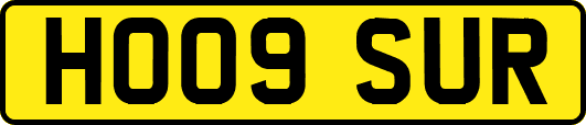 HO09SUR