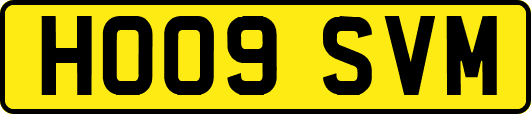 HO09SVM