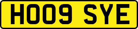 HO09SYE