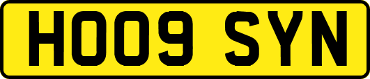 HO09SYN