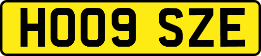 HO09SZE