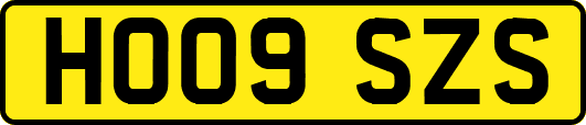 HO09SZS