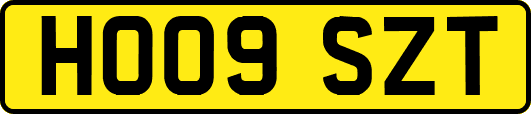 HO09SZT
