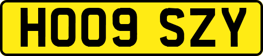 HO09SZY