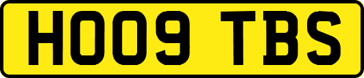 HO09TBS