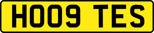 HO09TES