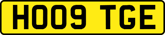 HO09TGE