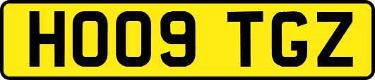HO09TGZ