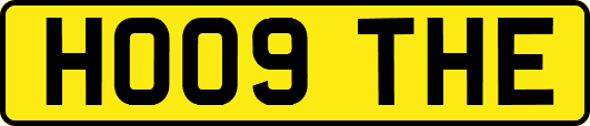 HO09THE