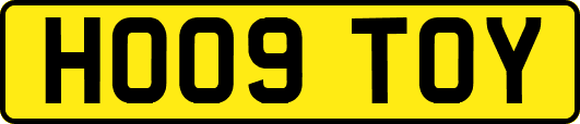 HO09TOY
