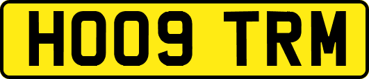 HO09TRM