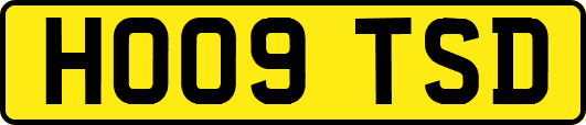 HO09TSD